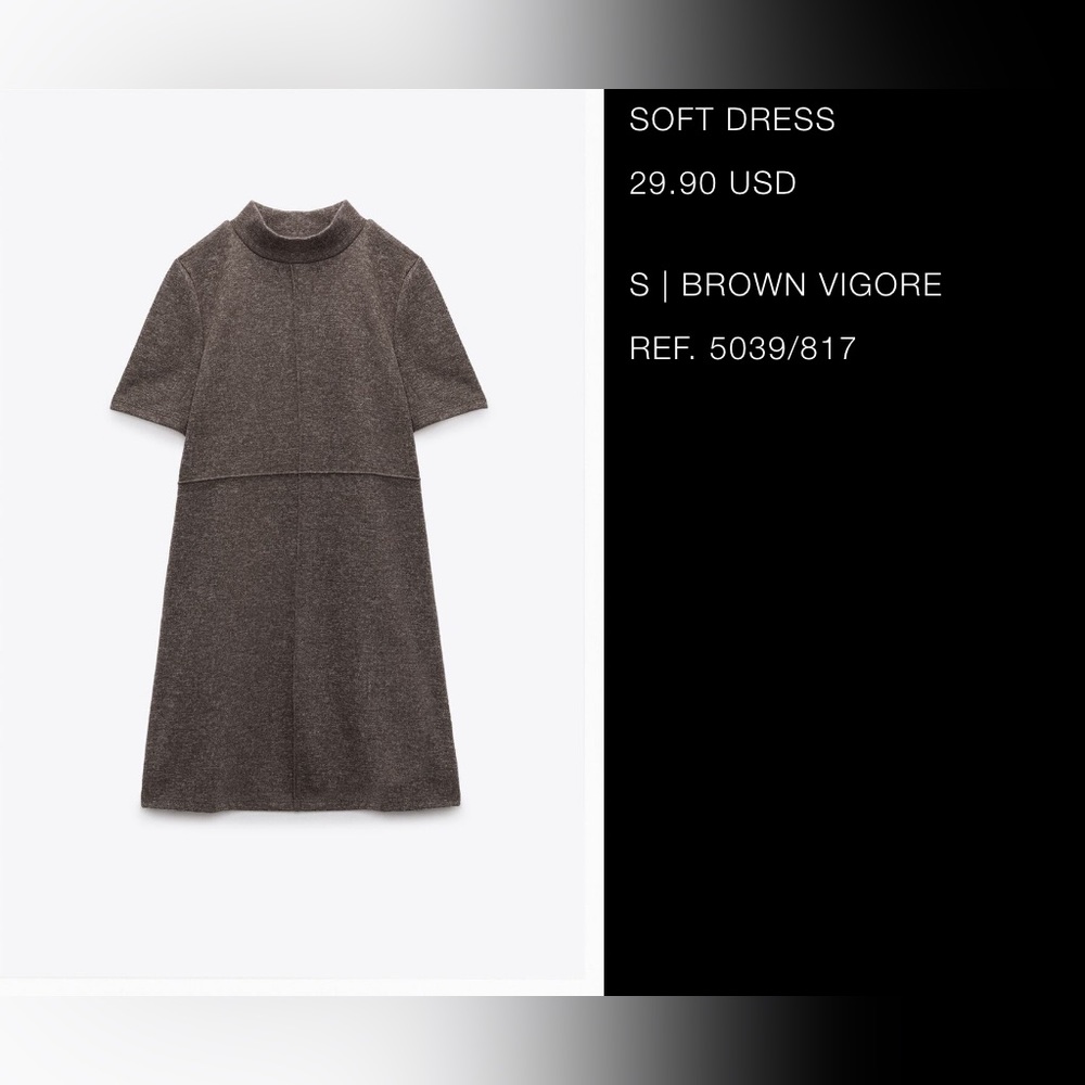Zara Soft Brown Dress size S